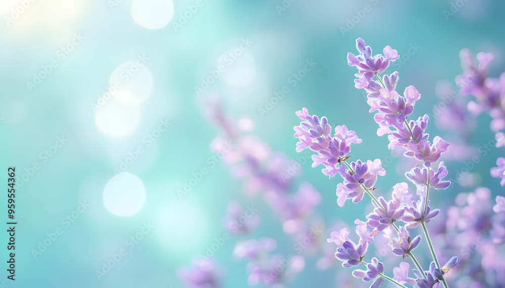 Obraz premium A single pastel color, such as mint green or lavender, providing a soothing and simple backdrop