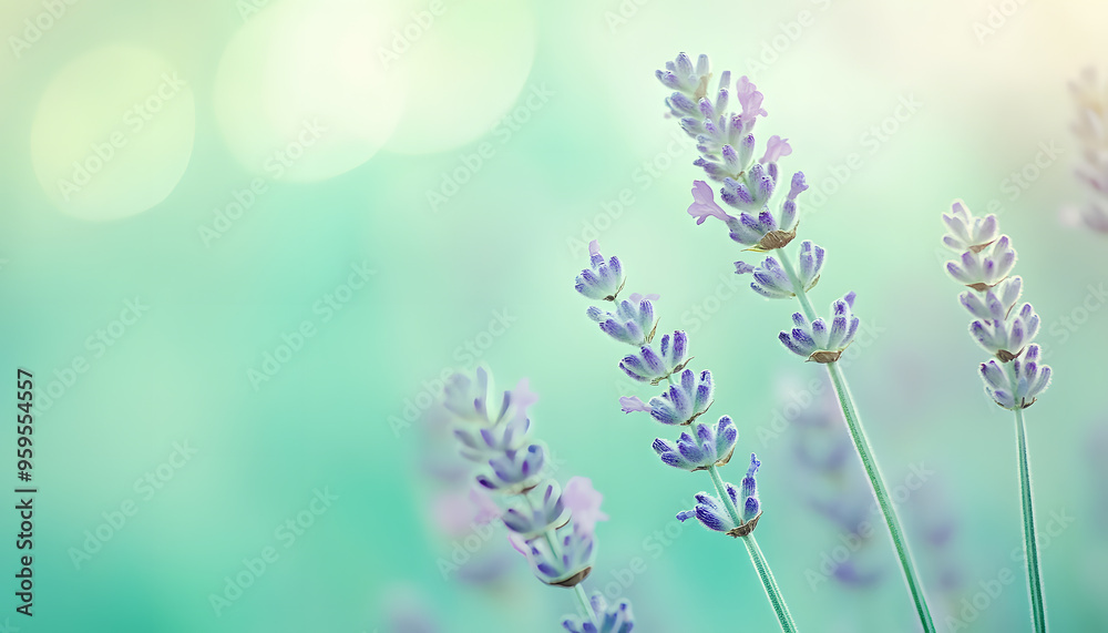 Obraz premium A single pastel color, such as mint green or lavender, providing a soothing and simple backdrop
