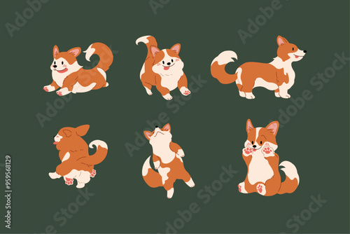 웰시코기 강아지 welsh corgi puppy dog
