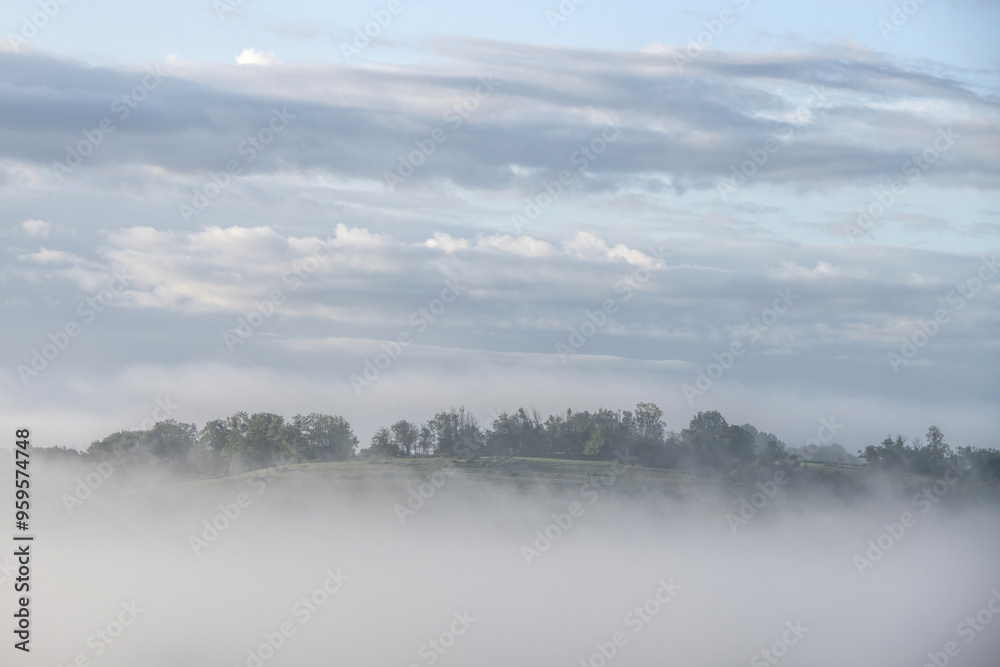 Fototapeta premium hill and trees in the mist