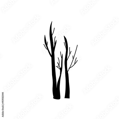 Dead tree silhouettes