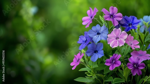 Vibrant flowers bloom in a lush green environment, showcasing shades of blue and purple, perfect for nature enthusiasts.