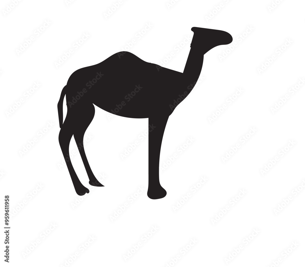 silhouette of a camel silhouette of a camel