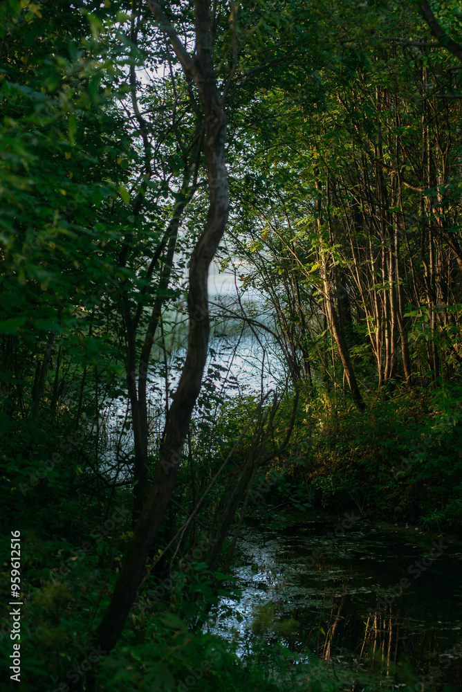 Obraz premium A narrow river channel.