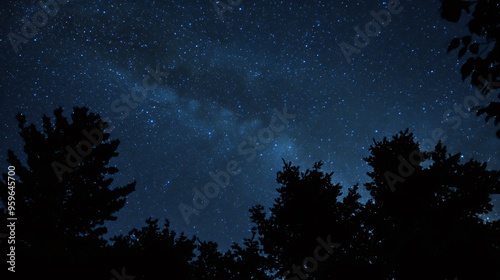 A vast, star-studded night sky over a dark silhouette of a forest.