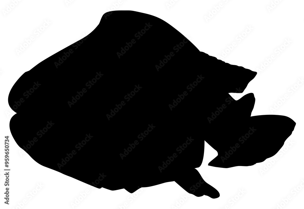Silhouette of the The Humphead wrasse (Cheilinus undulatus), also known as the Māori wrasse, Napoleon wrasse, Napoleon fish. Flat Style, can use for Logo Gram, Animal Illustration, Pictogram, ect Silhouette of the The Humphead wrasse (Cheilinus undulatus), also known as the Māori wrasse, Napoleon wrasse, Napoleon fish. Flat Style, can use for Logo Gram, Animal Illustration, Pictogram, ect