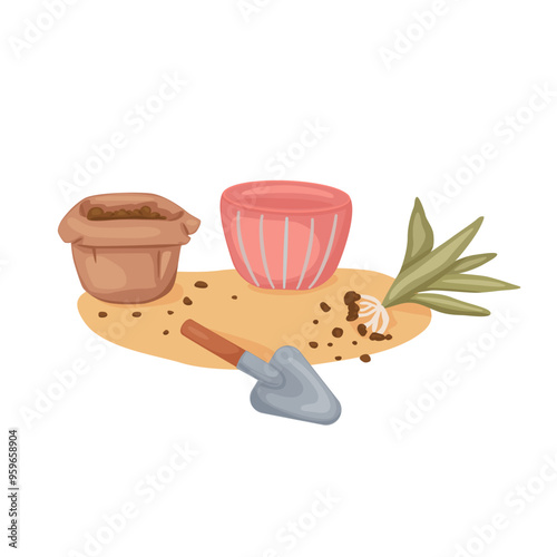 Transplanting houseplant into pot with earth. Tools for home gardening. Vector illustration of leisure and hobbies.