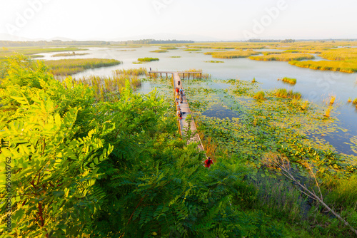 Efteni Lake is a tectonically formed, freshwater lake located within the borders of Düzce province, within the borders of the Central and Gölyaka districts. photo