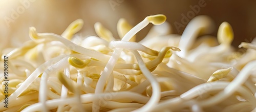 Close up of fresh raw beans...