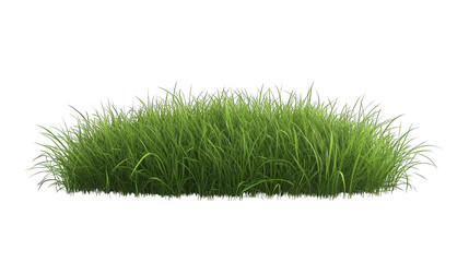 Lush green grass patch isolated transparent background