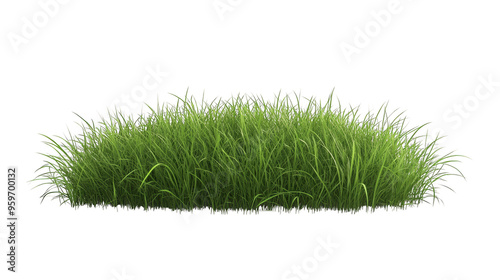 Lush green grass patch isolated transparent background