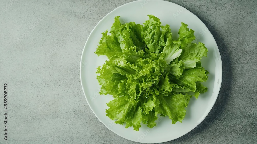 A plate of fresh green lettuce leaves arranged neatly for culinary use. A plate of fresh green lettuce leaves arranged neatly for culinary use.