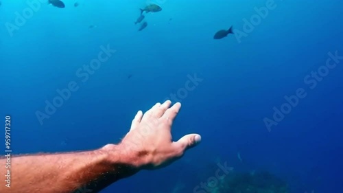 Underwater experience filled with travel and fun, as hands touch and feel the refreshing ocean water, capturing the essence of adventure beneath the waves