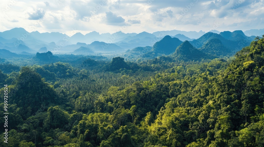 Naklejka premium Bird's eye view of the dense forests and karst landscape of Nam Ha National Park in Luang Namtha.