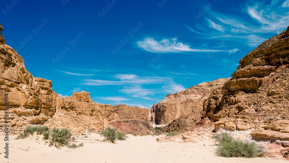 green bushes on the sand in a canyon in the desert against the backdrop of mountains and a blue sky with clouds in Egypt Dahab South Sinai green bushes on the sand in a canyon in the desert against the backdrop of mountains and a blue sky with clouds in Egypt Dahab South Sinai