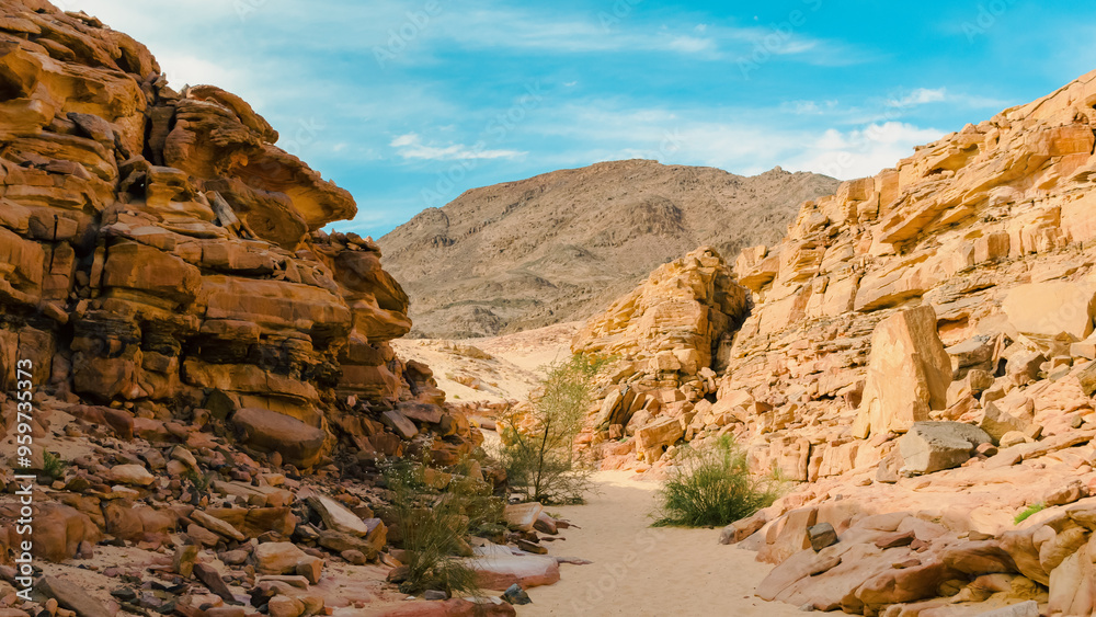 Obraz premium colored canyon with green plants in Egypt Dahab South Sinai