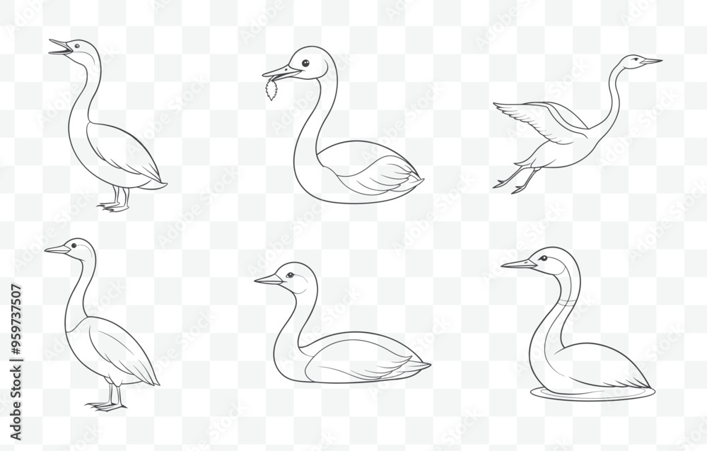 Obraz premium Grebe Bird Line Art Vector Set with Elegant and Detailed Grebe Illustrations Perfect for Wildlife and Nature Designs