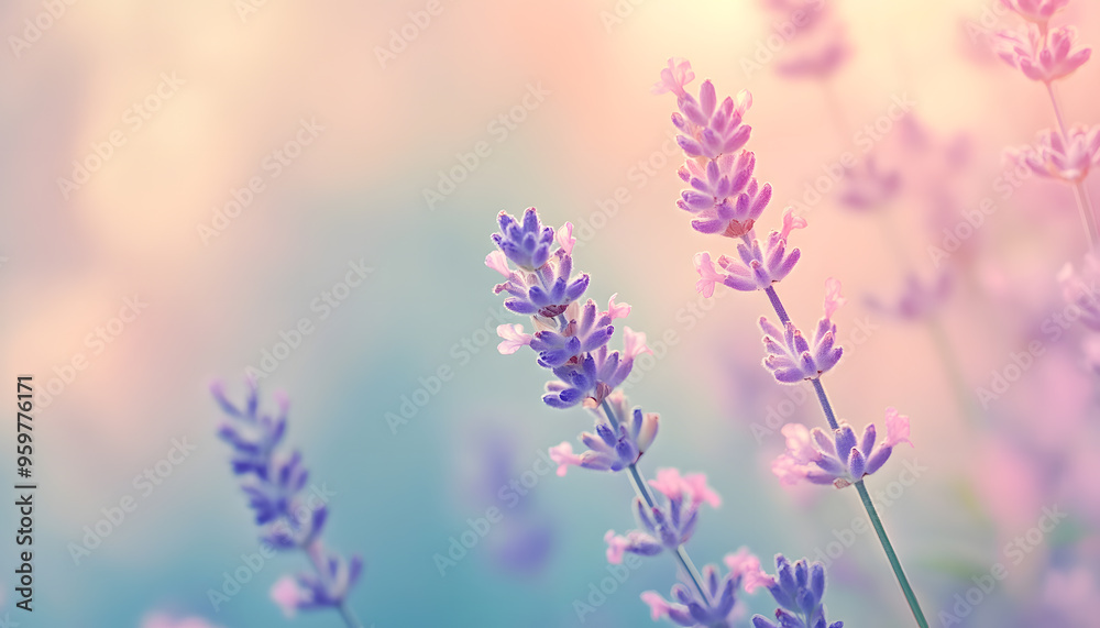 Obraz premium A single pastel color, such as mint green or lavender, providing a soothing and simple backdrop
