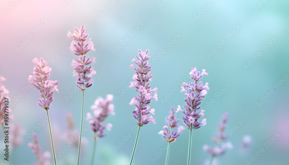 Fototapeta premium A single pastel color, such as mint green or lavender, providing a soothing and simple backdrop