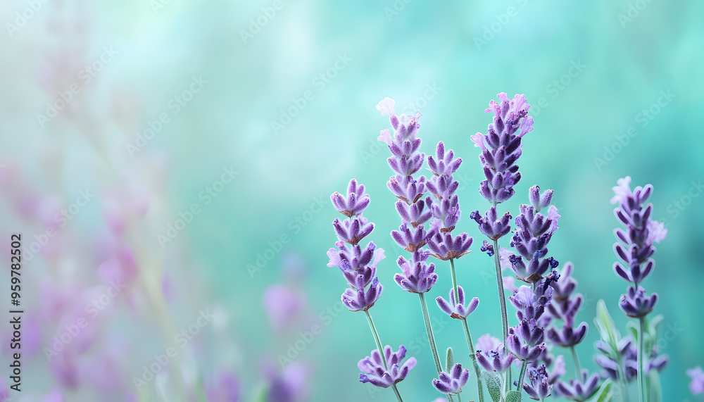 Obraz premium A single pastel color, such as mint green or lavender, providing a soothing and simple backdrop