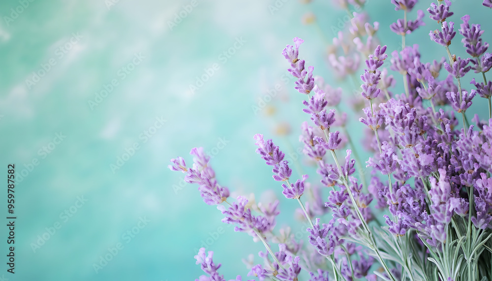 Obraz premium A single pastel color, such as mint green or lavender, providing a soothing and simple backdrop