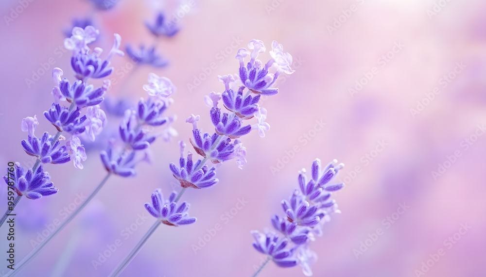 Obraz premium A single pastel color, such as mint green or lavender, providing a soothing and simple backdrop
