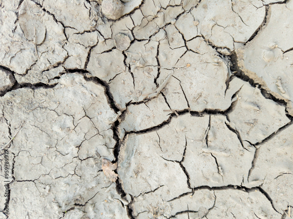 Fototapeta premium Cracked Dry Earth Highlighting Drought and Climate Change