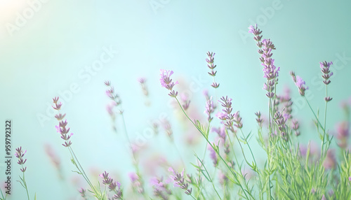 A single pastel color, such as mint green or lavender, providing a soothing and simple backdrop