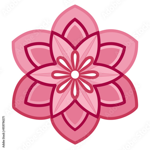 pink lotus flower