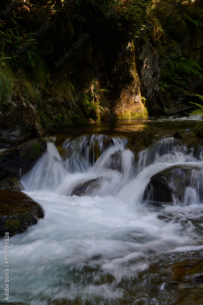 Fototapeta premium The Toran River in the Val d'Aran. Pyrenees. Catalonia. Spain
