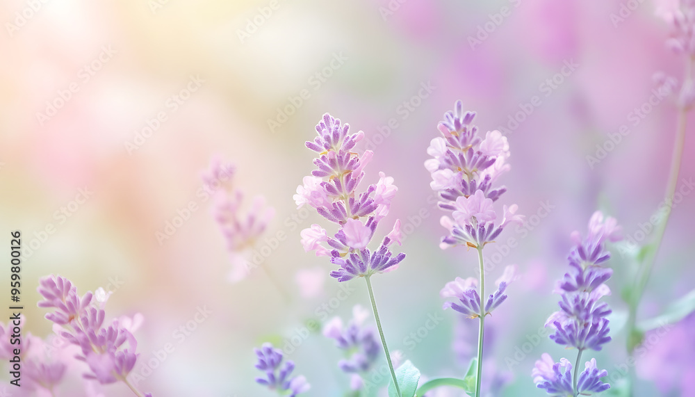 Fototapeta premium A single pastel color, such as mint green or lavender, providing a soothing and simple backdrop
