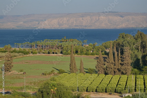 view of Sea of Galilee in northern Israel with the Golan Heights in the background and agricultural fields in foreground