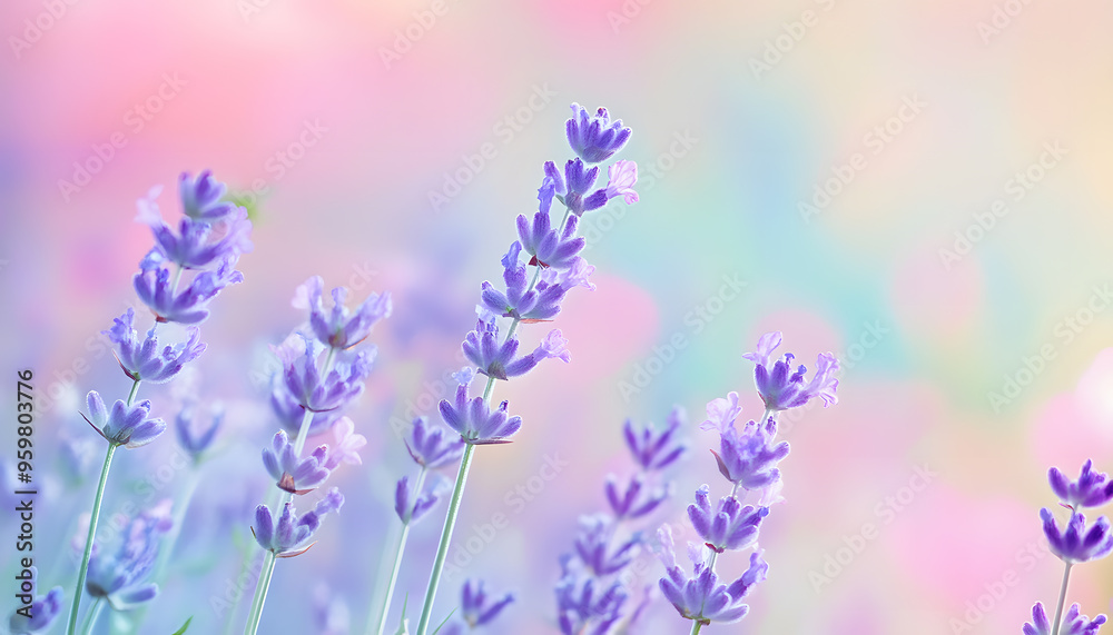 Obraz premium A single pastel color, such as mint green or lavender, providing a soothing and simple backdrop