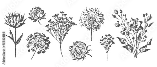 Vector herbarium trendy retro photocopy effect. Modern stipple dots texture for design art. y2k collage wildflowers set.
