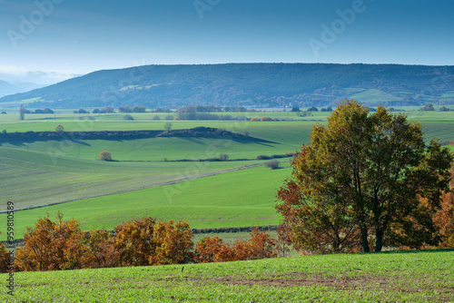 Panoramic view of green fields and autumn trees, Allin Valley, Navarra, Spain photo