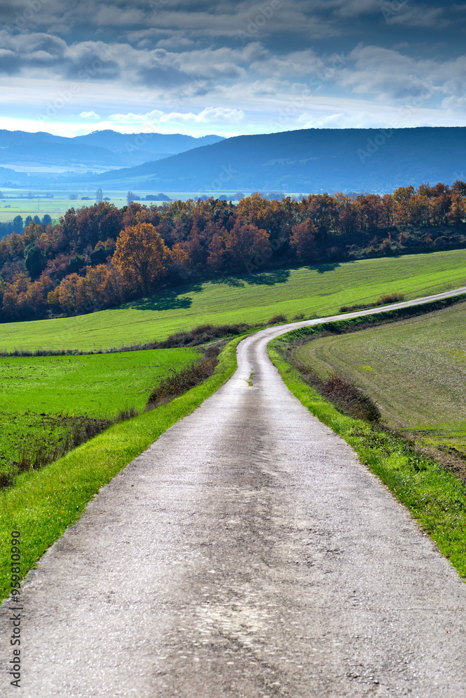 Naklejka premium A road runs through a lush green field. Allin Valley, Navarra, Spain