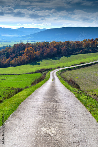 A road runs through a lush green field. Allin Valley, Navarra, Spain photo