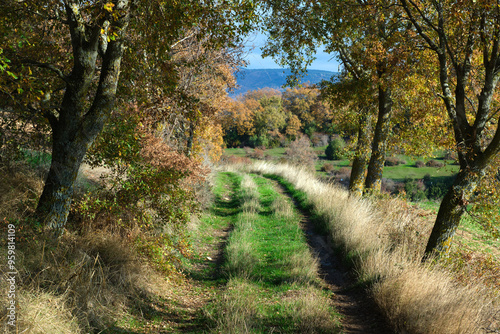 Foto Rustic Path Through Autumn Forest. Allin Valley, Navarra, Spain