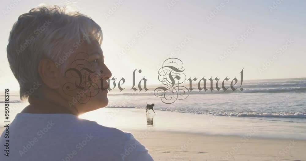 Person standing on beach with Vive la France! text animation over ocean view