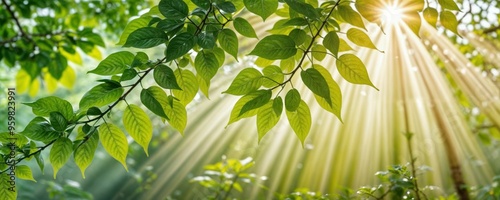 The bright sun is shining vividly through the lush leaves of a tree