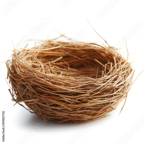 Eagle Nest Isolated