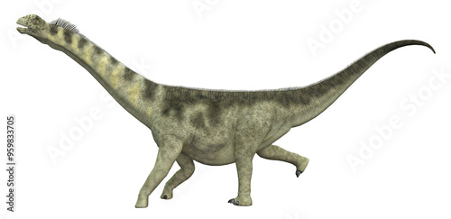 Dinosaurier Camarasaurus, Freisteller  photo