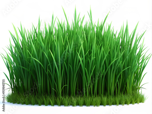 green grass isolated on white backgroundgrass, nature, field, isolated, summer, lawn, spring, plant, meadow, white, growth, environment, garden, fresh, green, season, backgrounds, freshness, landscape photo