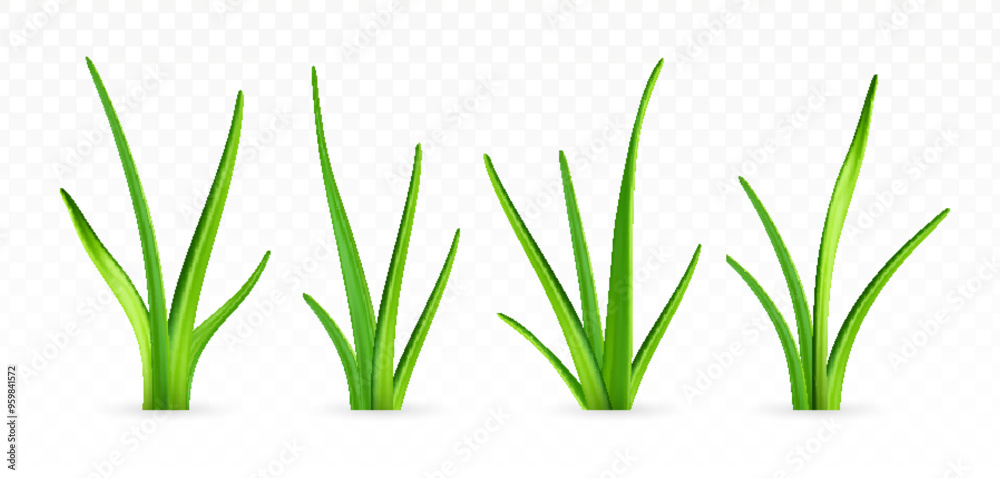 3d green grass.