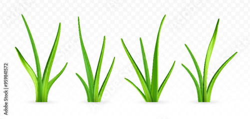 3d green grass.
