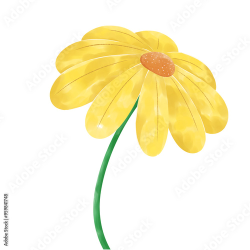 yellow daisy flower