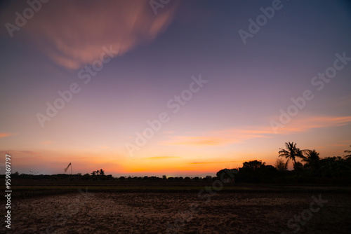 Blur Abstract Background of stars moving slowly in the twilight. and darkness tree shadow with field