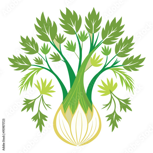 Fennel Vector Illustration for Fresh Cooking Designs