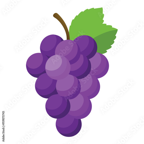 Grape Vector Illustration for Freshness and Taste