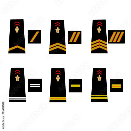 Ensemble des galons de l'armée de terre française: Pompier de Paris. Sous-officier. Sergent, Sergent-chef, Adjudant, Adjudant-chef, Major